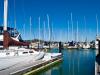 many masts