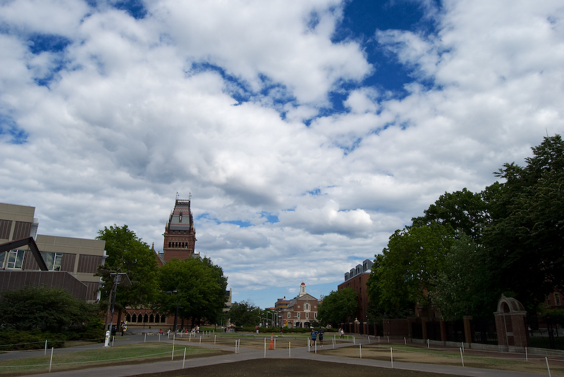 in between harvard quads