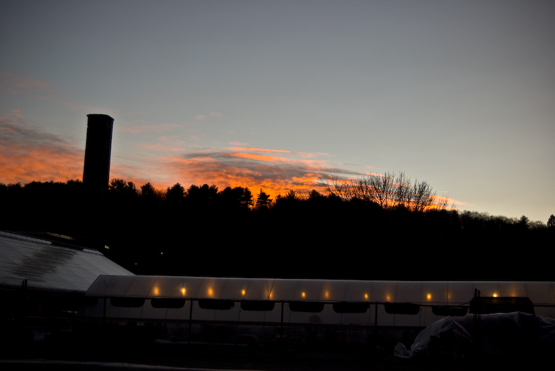 greenhouse, red cloud