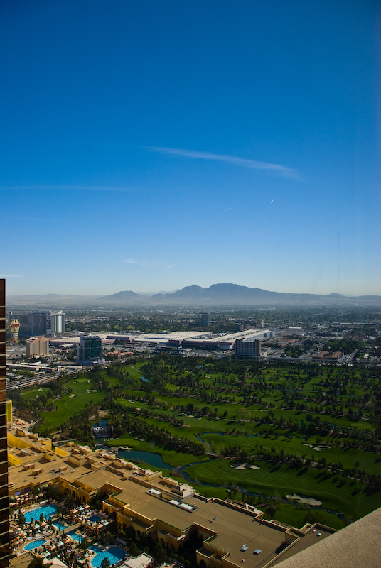 out the palazzo window