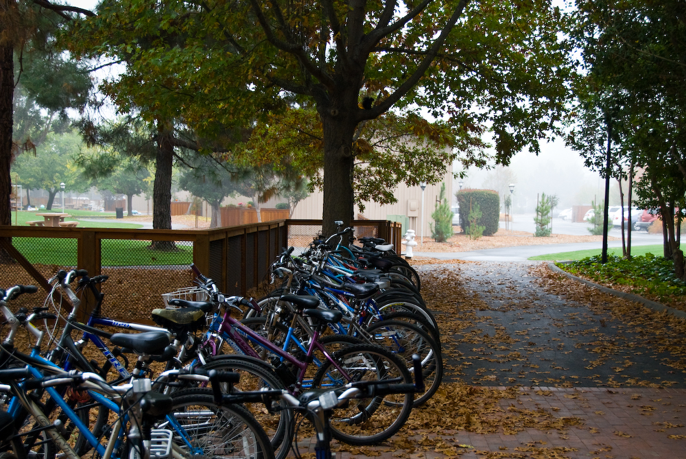 bikes in autumn