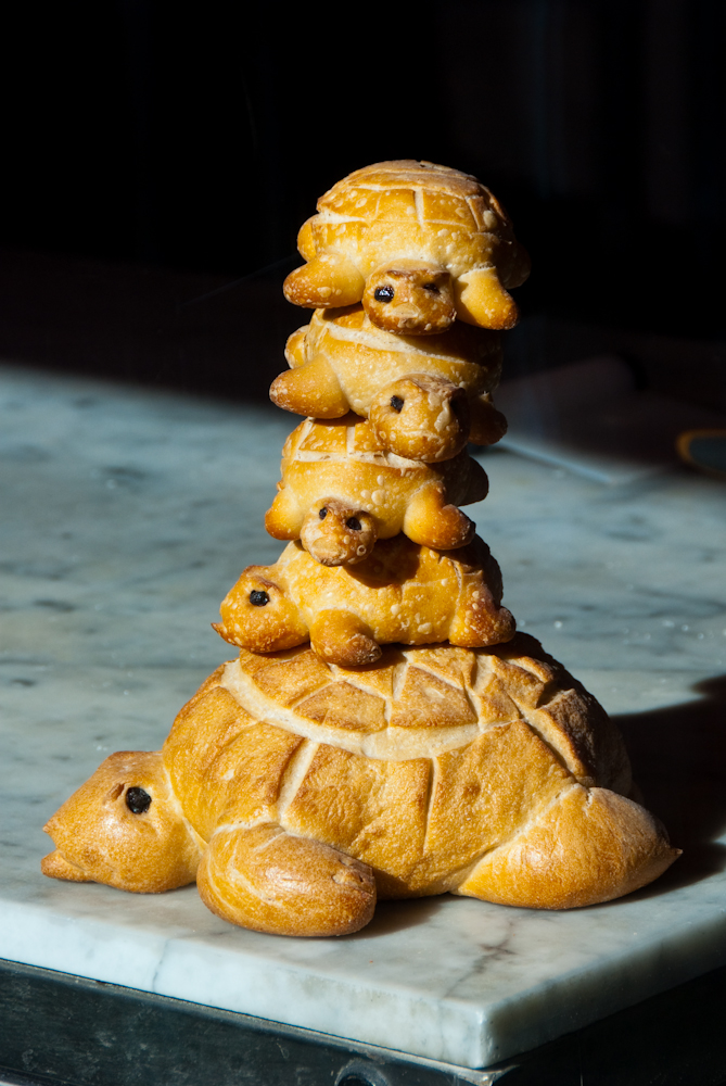 sourdough turtles