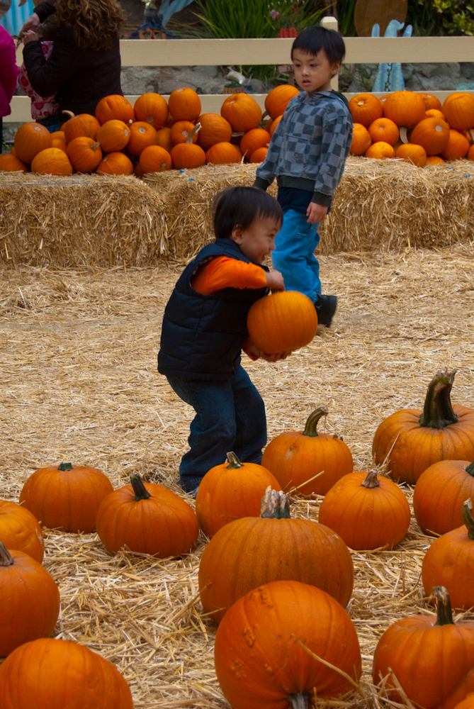 his pumpkin
