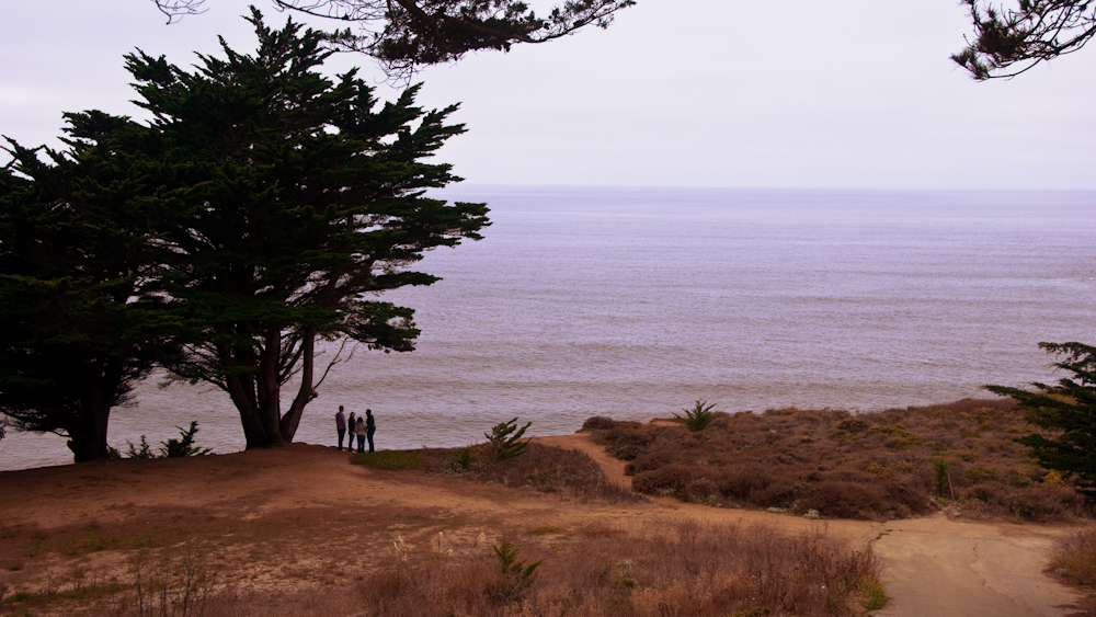 over gray whale cove