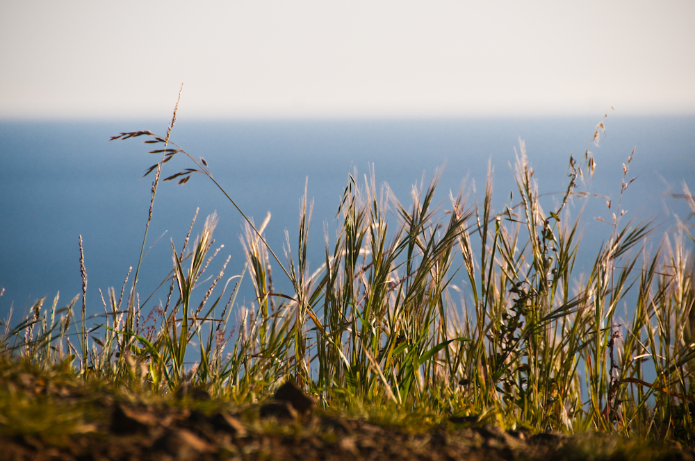 the end of the world