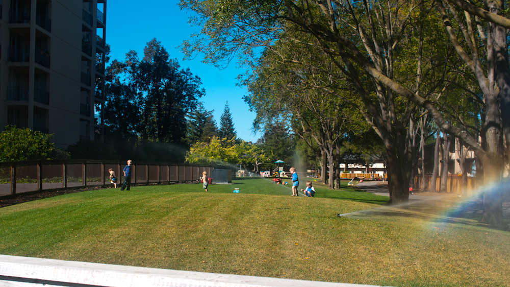 california in november