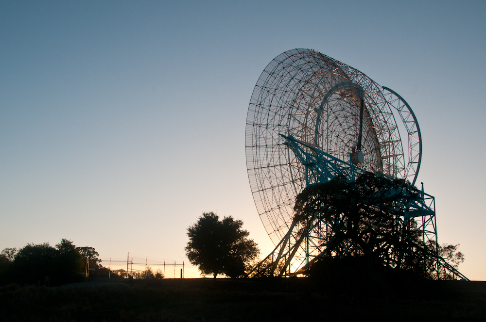 the dish