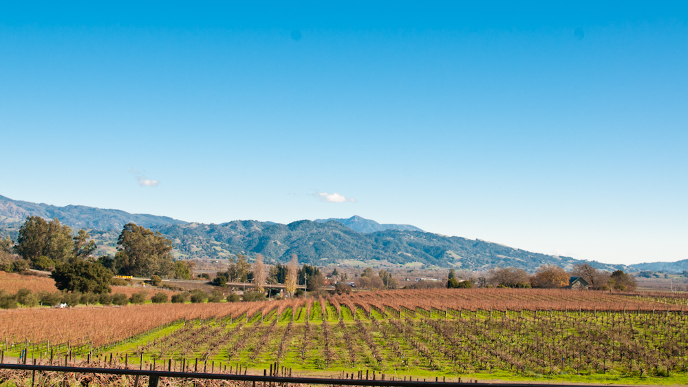 wine country