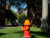 harvard hydrant