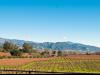 wine country